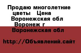 Продаю многолетние цветы › Цена ­ 50 - Воронежская обл., Воронеж г.  »    . Воронежская обл.